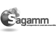 Corporate, institutions & formation